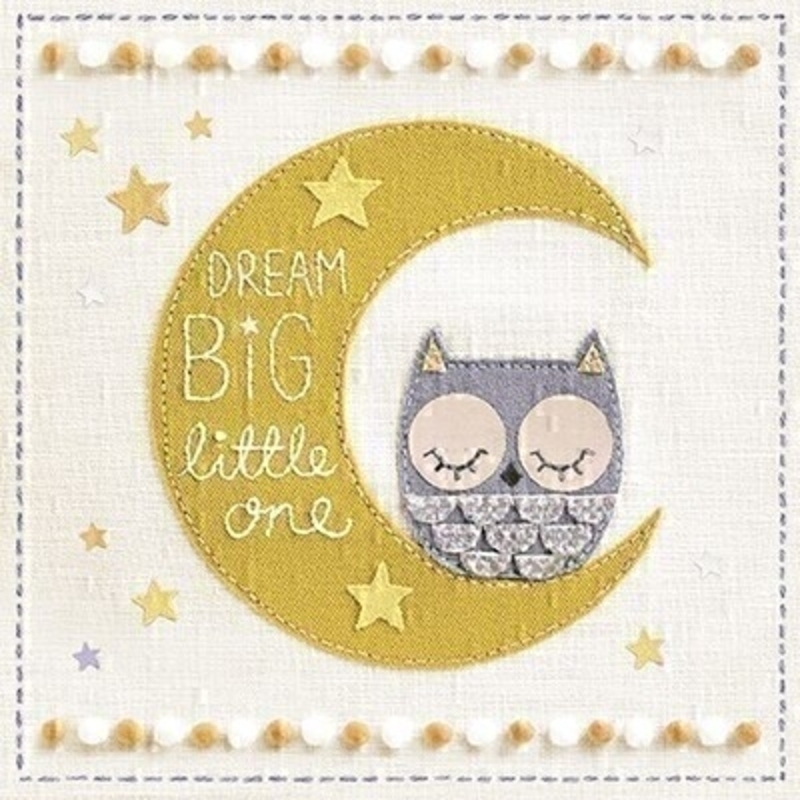 This gender netural New Baby greetings card features a cute sleeping owl sitting on a big yellow moon amongst the stars with the writting Dream Big Little One on the front from Paper Rose.  The card has Congratulations on your lovely new arrival written inside and comes complete with a yellow envelope perfect to send to someone to congratulate them on the birth of their new baby.